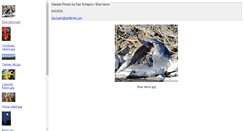 Desktop Screenshot of dschapir.home.wolfenet.com